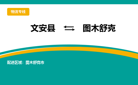 文安到图木舒克物流专线|文安至图木舒克货运专线