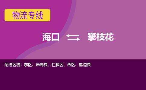 攀枝花到海口危险品运输公司2023省市县+乡镇+闪+送时效保障