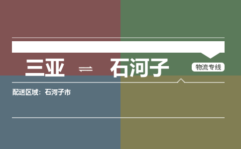 石河子到三亚危险品运输公司2023省市县+乡镇+闪+送时效保障