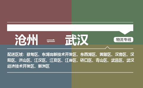 沧州发武汉专线物流，沧州到武汉零担整车运输2023时+效+保+证/省市县+乡镇+闪+送