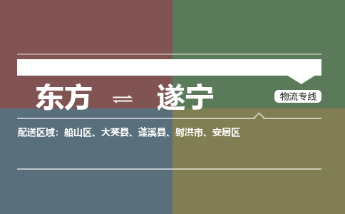 遂宁到东方危险品运输公司2023省市县+乡镇+闪+送时效保障