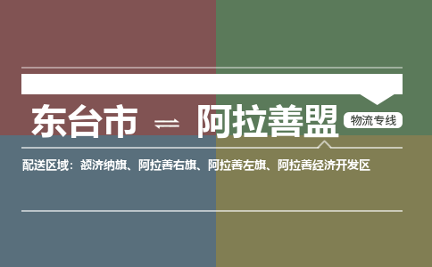 东台到阿拉善盟物流专线公司