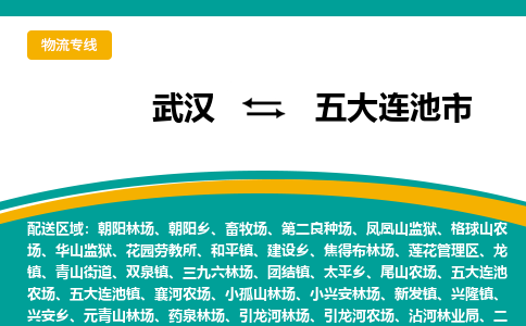 武汉到五大连池物流公司_武汉到五大连池货运专线