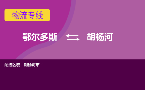 鄂尔多斯发胡杨河专线物流，鄂尔多斯到胡杨河零担整车运输2023时+效+保+证/省市县+乡镇+闪+送