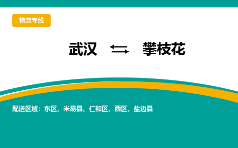 武汉到攀枝花物流公司_武汉到攀枝花货运专线