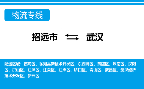 招远到武汉物流公司_招远到武汉货运专线